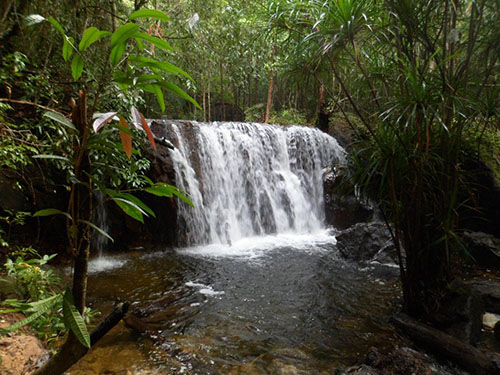 Tour Hàng Ngày